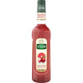 Mathieu Teisseire Pink Grapefruit Lychee Syrup Syrup - Liquid Scout